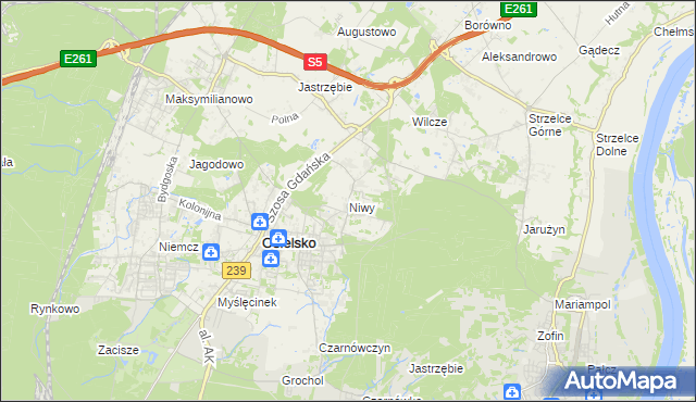 mapa Niwy gmina Osielsko, Niwy gmina Osielsko na mapie Targeo