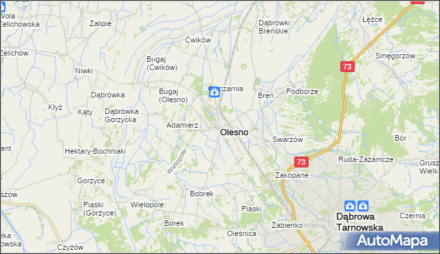 mapa Olesno powiat dąbrowski, Olesno powiat dąbrowski na mapie Targeo