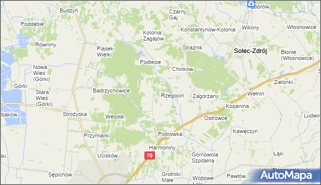 mapa Rzegocin gmina Nowy Korczyn, Rzegocin gmina Nowy Korczyn na mapie Targeo