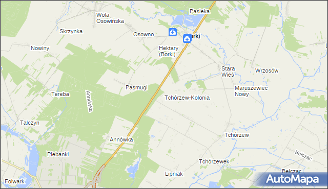 mapa Tchórzew-Kolonia, Tchórzew-Kolonia na mapie Targeo