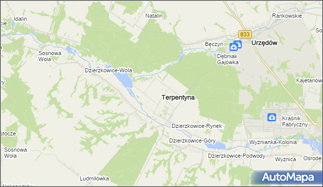 mapa Terpentyna, Terpentyna na mapie Targeo