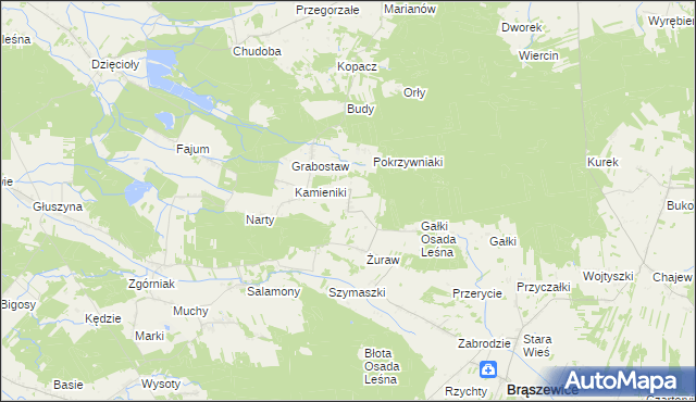 mapa Trzcinka gmina Brąszewice, Trzcinka gmina Brąszewice na mapie Targeo