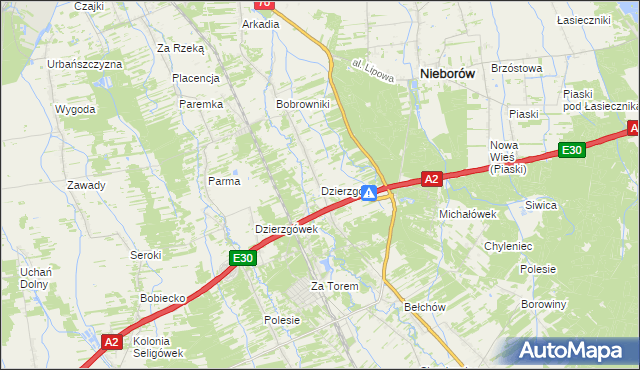 mapa Dzierzgów gmina Nieborów, Dzierzgów gmina Nieborów na mapie Targeo