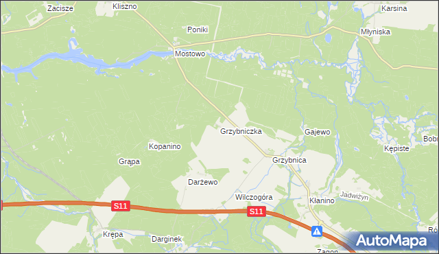 mapa Grzybniczka, Grzybniczka na mapie Targeo