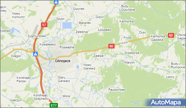 mapa Zalesie gmina Glinojeck, Zalesie gmina Glinojeck na mapie Targeo