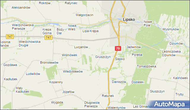 mapa Gruszczyn gmina Lipsko, Gruszczyn gmina Lipsko na mapie Targeo