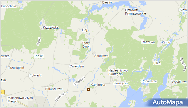 mapa Sokołowo gmina Witkowo, Sokołowo gmina Witkowo na mapie Targeo