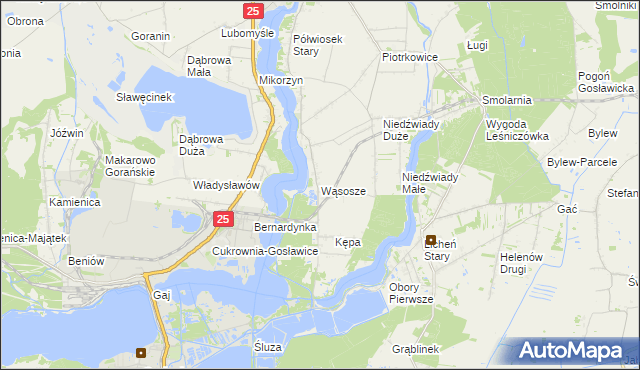 mapa Wąsosze gmina Ślesin, Wąsosze gmina Ślesin na mapie Targeo