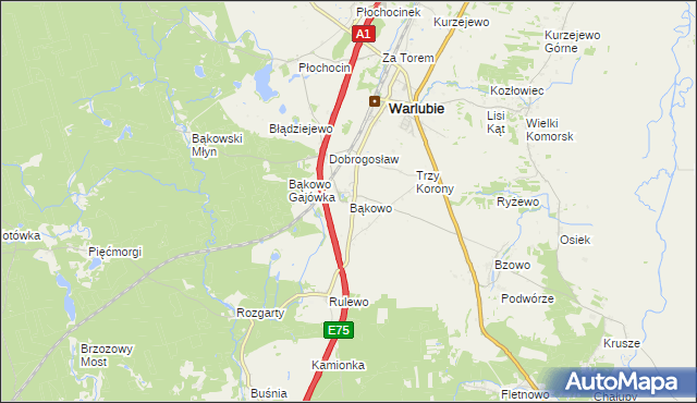 mapa Bąkowo gmina Warlubie, Bąkowo gmina Warlubie na mapie Targeo