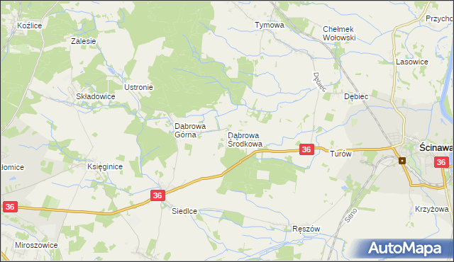 mapa Dąbrowa Środkowa, Dąbrowa Środkowa na mapie Targeo