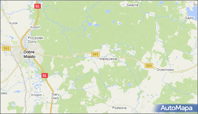 mapa Międzylesie gmina Dobre Miasto, Międzylesie gmina Dobre Miasto na mapie Targeo