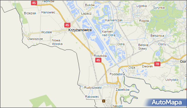 mapa Roszków gmina Krzyżanowice, Roszków gmina Krzyżanowice na mapie Targeo