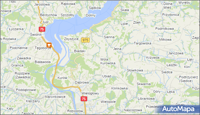 mapa Wola Kurowska, Wola Kurowska na mapie Targeo