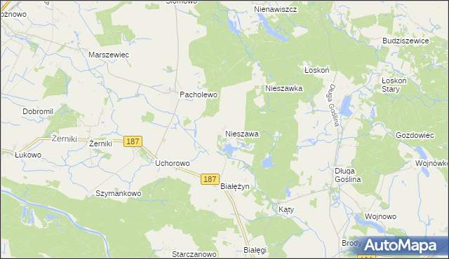 mapa Nieszawa gmina Murowana Goślina, Nieszawa gmina Murowana Goślina na mapie Targeo