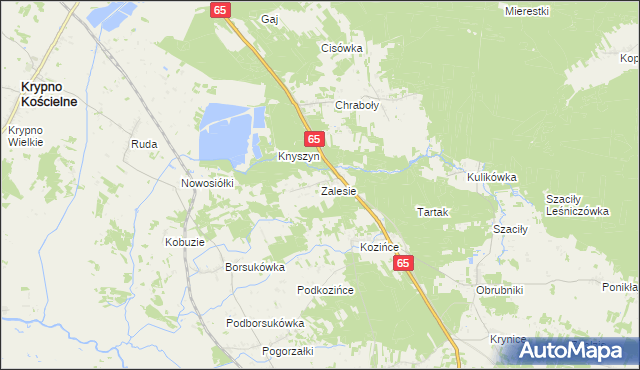 mapa Zalesie gmina Dobrzyniewo Duże, Zalesie gmina Dobrzyniewo Duże na mapie Targeo