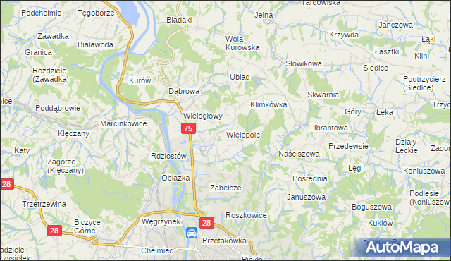 mapa Wielopole gmina Chełmiec, Wielopole gmina Chełmiec na mapie Targeo