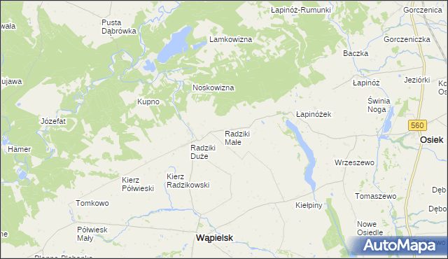 mapa Radziki Małe, Radziki Małe na mapie Targeo