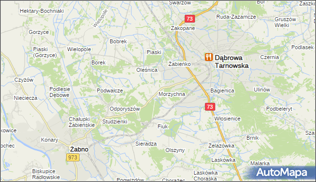 mapa Morzychna, Morzychna na mapie Targeo