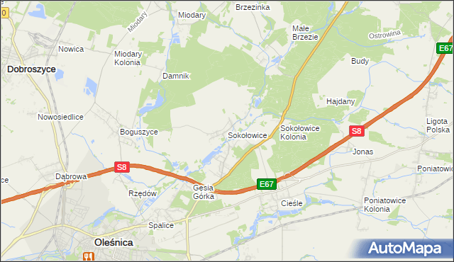 mapa Sokołowice gmina Oleśnica, Sokołowice gmina Oleśnica na mapie Targeo