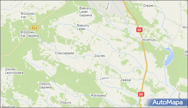 mapa Zdunek, Zdunek na mapie Targeo