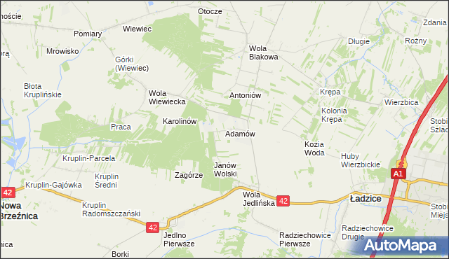 mapa Adamów gmina Ładzice, Adamów gmina Ładzice na mapie Targeo