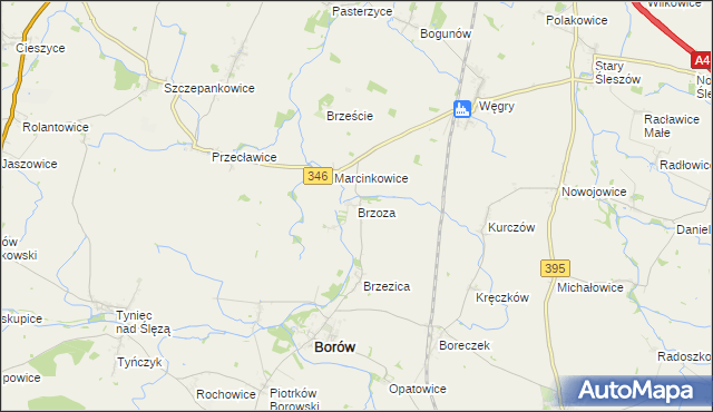 mapa Brzoza gmina Borów, Brzoza gmina Borów na mapie Targeo