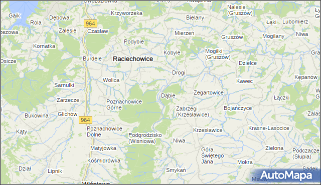 mapa Dąbie gmina Raciechowice, Dąbie gmina Raciechowice na mapie Targeo