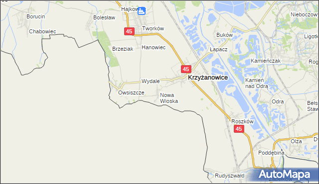 mapa Nowa Wioska gmina Krzyżanowice, Nowa Wioska gmina Krzyżanowice na mapie Targeo