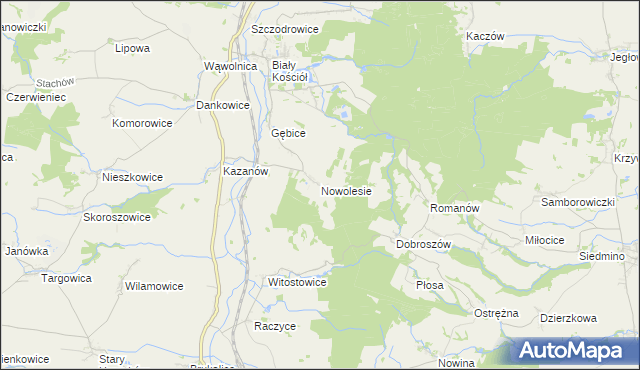 mapa Nowolesie, Nowolesie na mapie Targeo