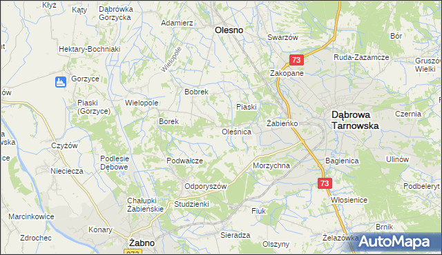 mapa Oleśnica gmina Olesno, Oleśnica gmina Olesno na mapie Targeo