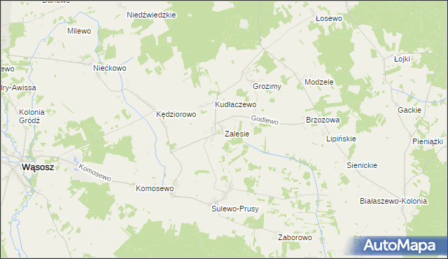 mapa Zalesie gmina Wąsosz, Zalesie gmina Wąsosz na mapie Targeo