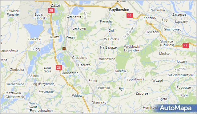 mapa Bachowice, Bachowice na mapie Targeo