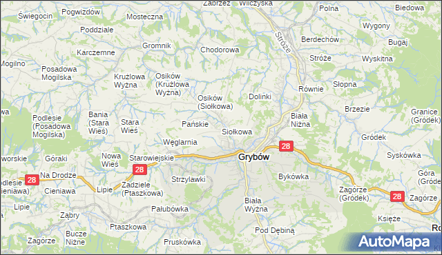 mapa Siołkowa, Siołkowa na mapie Targeo