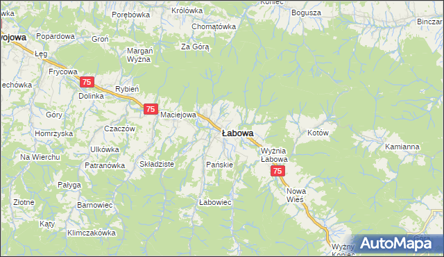 mapa Łabowa, Łabowa na mapie Targeo