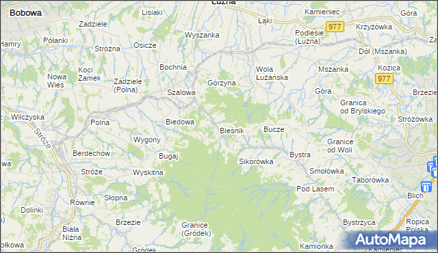 mapa Bieśnik gmina Łużna, Bieśnik gmina Łużna na mapie Targeo