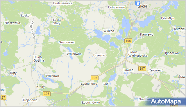 mapa Brzeźno gmina Skoki, Brzeźno gmina Skoki na mapie Targeo