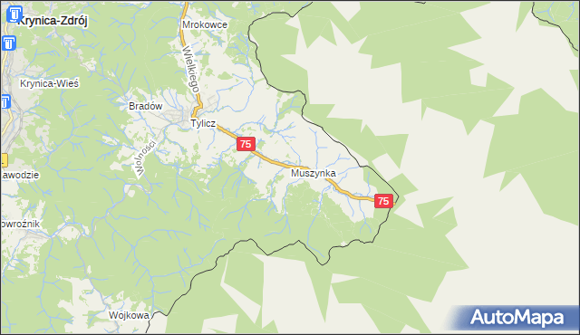 mapa Muszynka, Muszynka na mapie Targeo