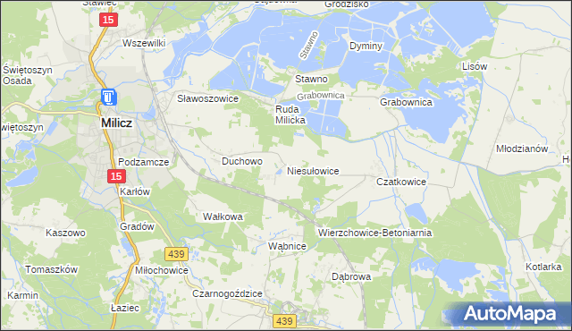 mapa Niesułowice gmina Milicz, Niesułowice gmina Milicz na mapie Targeo