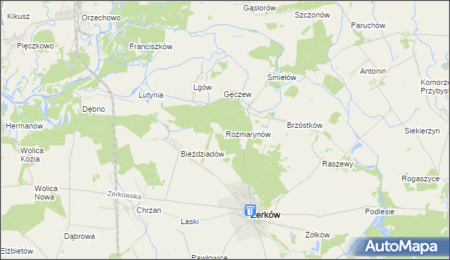 mapa Rozmarynów, Rozmarynów na mapie Targeo