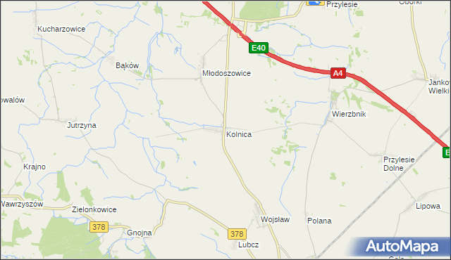 mapa Kolnica gmina Grodków, Kolnica gmina Grodków na mapie Targeo