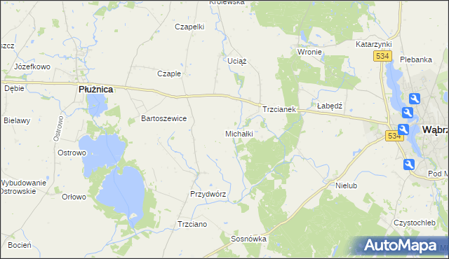 mapa Michałki gmina Ryńsk, Michałki gmina Ryńsk na mapie Targeo