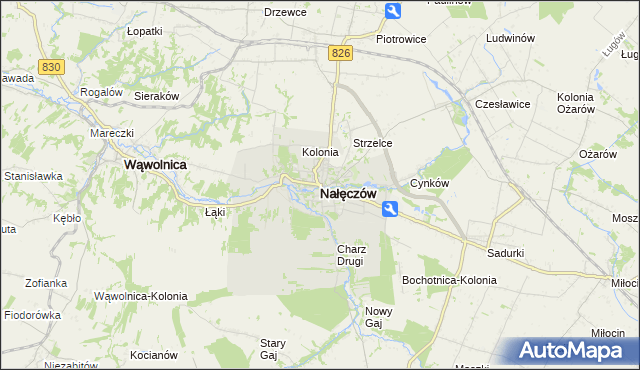 mapa Nałęczów powiat puławski, Nałęczów powiat puławski na mapie Targeo