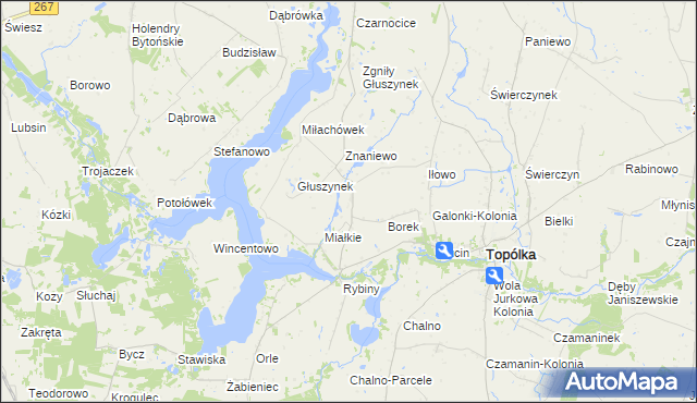 mapa Opielanka, Opielanka na mapie Targeo