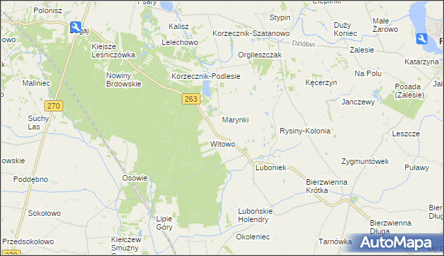 mapa Rysiny gmina Kłodawa, Rysiny gmina Kłodawa na mapie Targeo