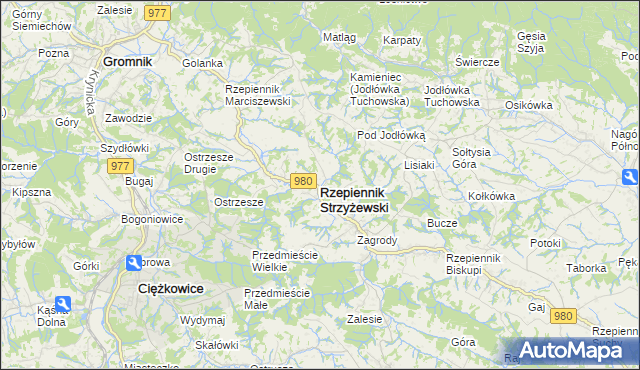 mapa Rzepiennik Strzyżewski, Rzepiennik Strzyżewski na mapie Targeo