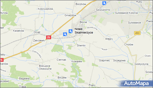 mapa Śliwniki gmina Nowe Skalmierzyce, Śliwniki gmina Nowe Skalmierzyce na mapie Targeo