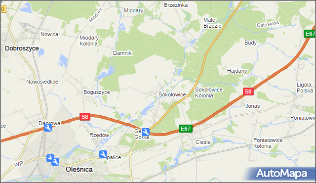 mapa Sokołowice gmina Oleśnica, Sokołowice gmina Oleśnica na mapie Targeo