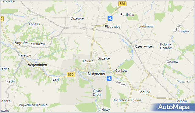 mapa Strzelce gmina Nałęczów, Strzelce gmina Nałęczów na mapie Targeo