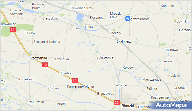 mapa Suliszewice gmina Błaszki, Suliszewice gmina Błaszki na mapie Targeo