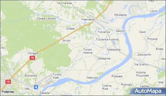 mapa Tursko Wielkie, Tursko Wielkie na mapie Targeo